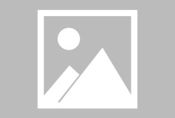 南宫体育官网-里程碑夜！芝加哥公牛复出首秀，亚冠关键时刻刷纪录，媒体盛赞，高层口径保持一致的简单介绍